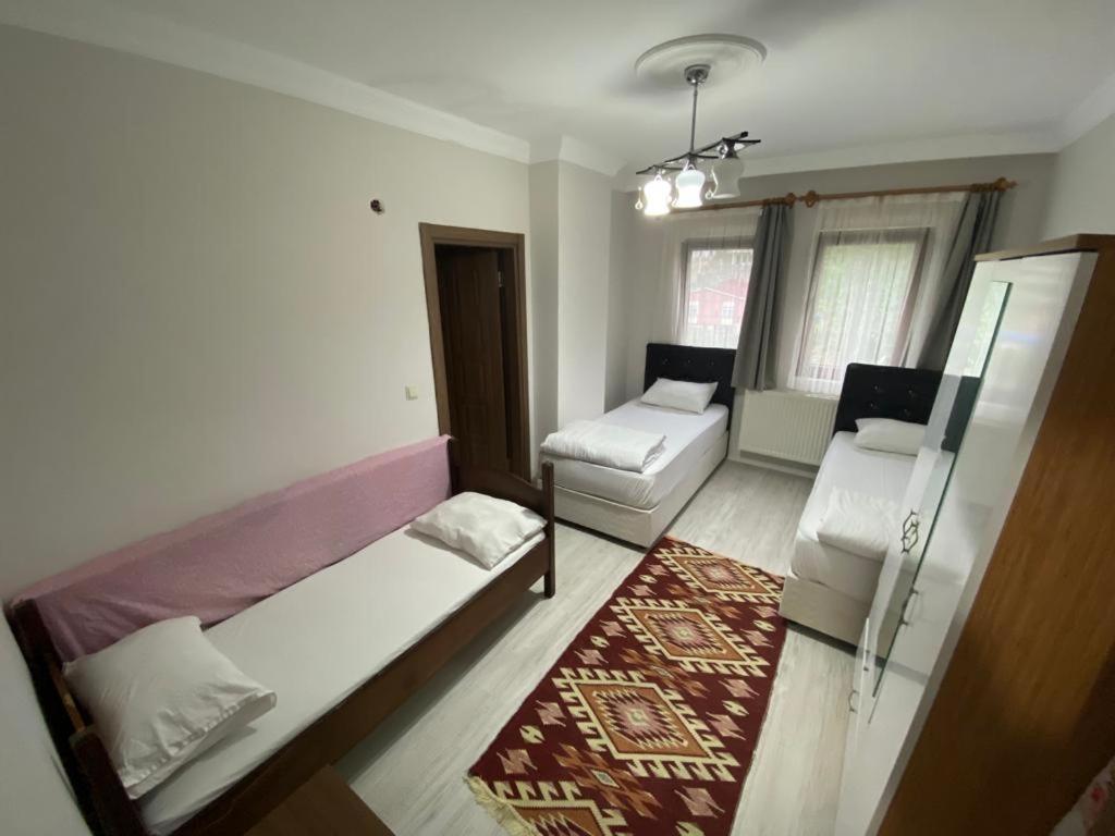 Aparthotel Talipoglu Apart Uzungöl Exterior foto