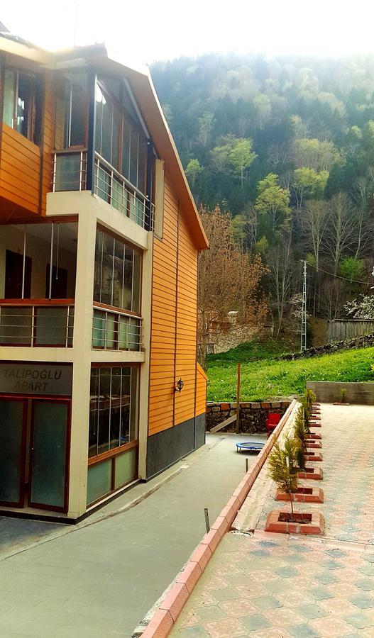 Aparthotel Talipoglu Apart Uzungöl Exterior foto